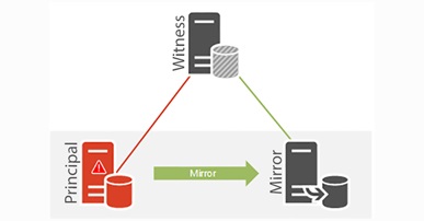 The Importance of Database Mirroring in ERP Systems