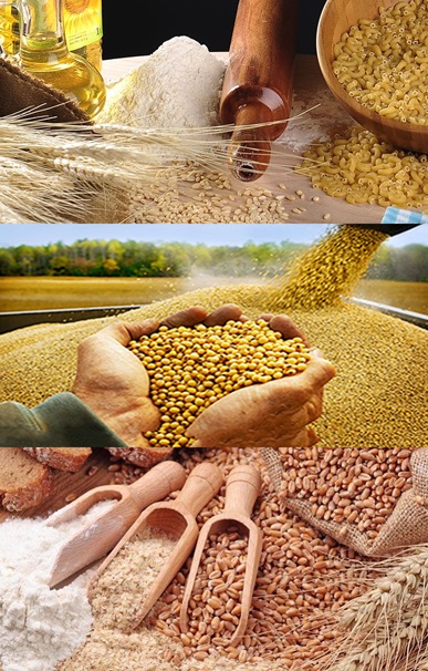 ERP Applications in Food Raw Material Industry