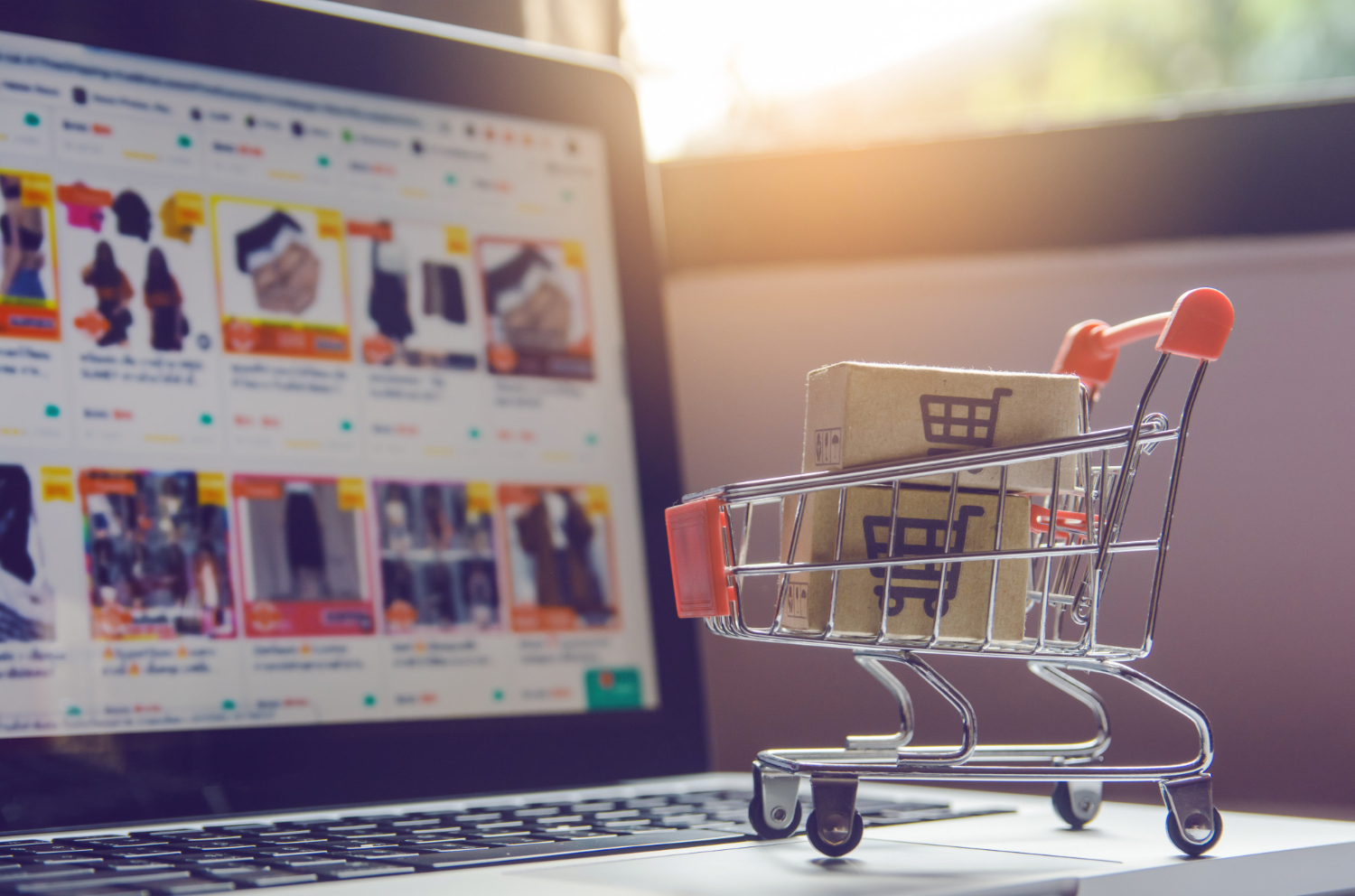 Using e-Commerce with ERP